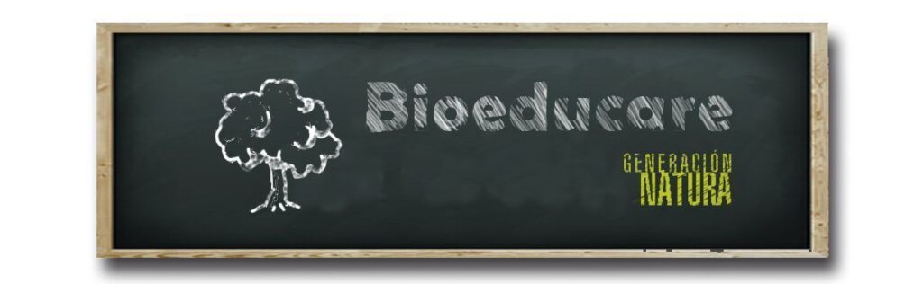 bioeducare