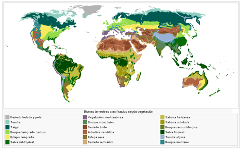 distribución de los biomas según su vegetación