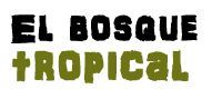 bosque tropical
