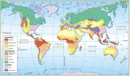 Distibución mundial de las plantas vasculares