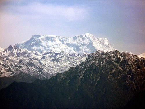 Bioma terrestre alta montaña