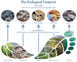 huella ecologica