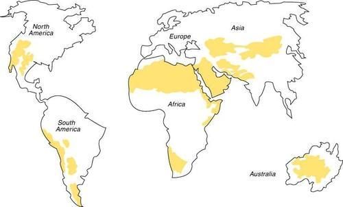zonas desérticas en el mundo