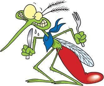 la sangre humana es la preferida de los mosquitos