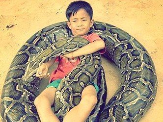 Serpientes como mascotas de los niños