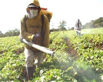 FAO aconseja la retirada de los plaguicidas