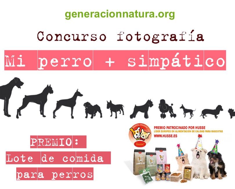 Cartel del concurso de fotografía Mi perro más simpático