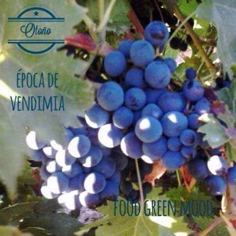 Cómo cuidar nuestro cuerpo en Otoño