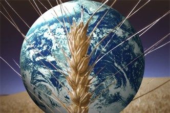 Datos sobre alimentos mundiales