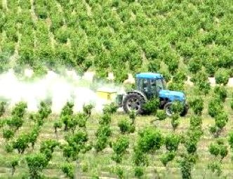 consejo casero para hacer fungicida ecológico