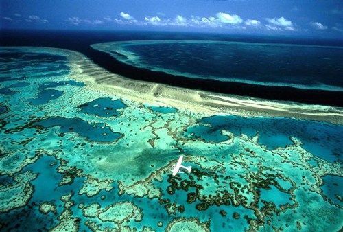 Cumbre mundial para salvar los océanos