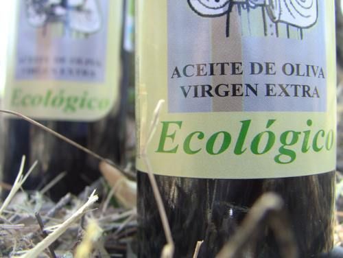 Los beneficios del aceite de oliva