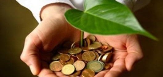 la bioeconomía como solución a la crisis