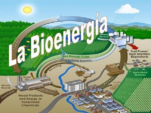 bioenergía en el hogar, calderas biomasa