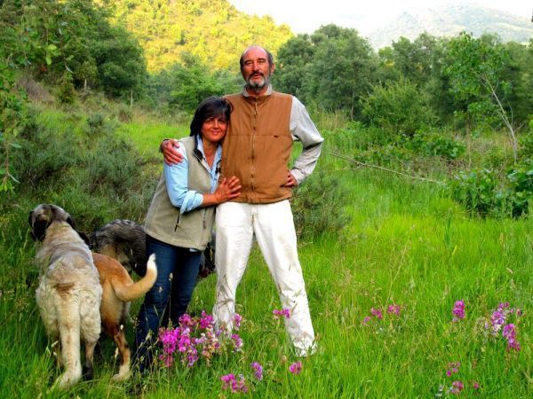 Quesos de cabra ecológicos en Castilla y León