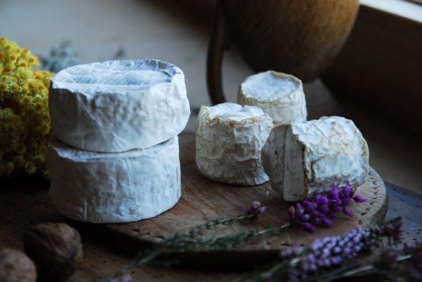 productores de queso orgánico de cabra