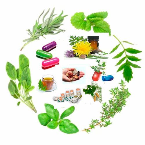fitoterapia
