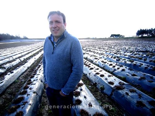 Fresas ecológicas Finca Monjarama
