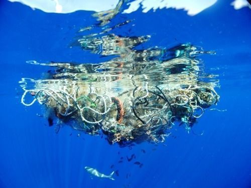 basura en los mares
