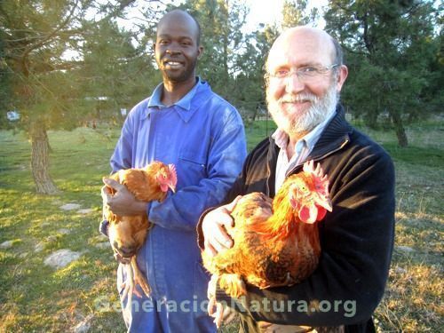 Pollos ecológicos Sanchonar