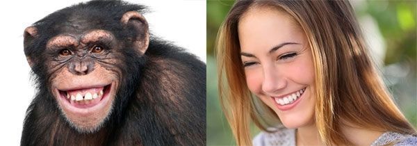 Las últimas investigaciones afirman que la sonrisa humana también es evolución de nuestros compañeros los primates.