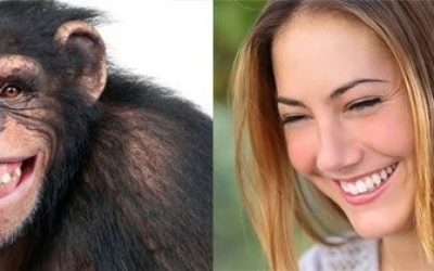 Las últimas investigaciones afirman que la sonrisa humana también es evolución de nuestros compañeros los primates.